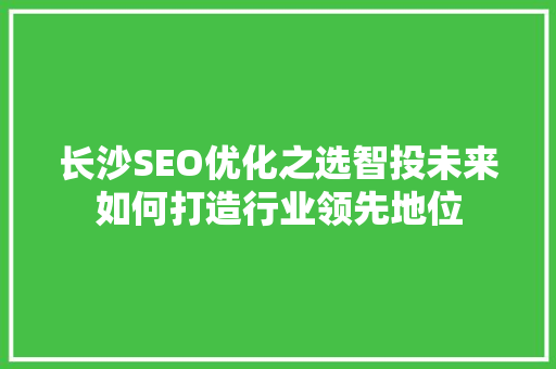 长沙SEO优化之选智投未来如何打造行业领先地位