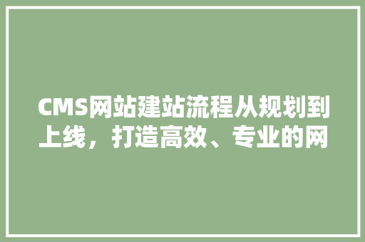 CMS网站建站流程从规划到上线，打造高效、专业的网站