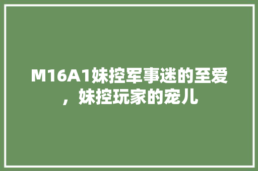 M16A1妹控军事迷的至爱，妹控玩家的宠儿