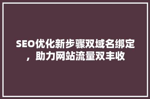SEO优化新步骤双域名绑定，助力网站流量双丰收