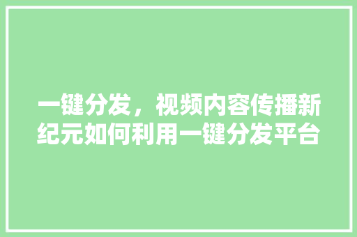 一键分发，视频内容传播新纪元如何利用一键分发平台实现高效传播