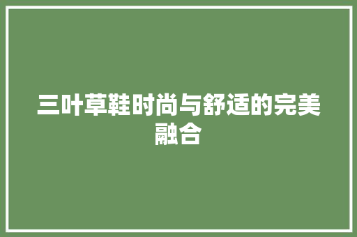三叶草鞋时尚与舒适的完美融合