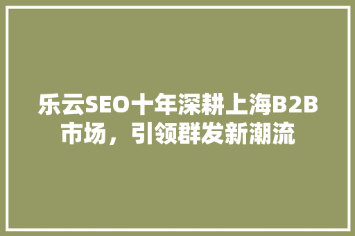 乐云SEO十年深耕上海B2B市场，引领群发新潮流