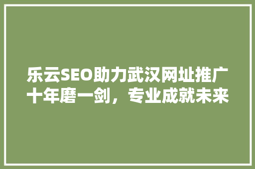 乐云SEO助力武汉网址推广十年磨一剑，专业成就未来