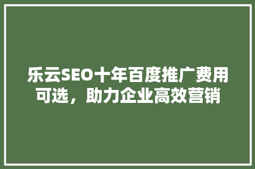 乐云SEO十年百度推广费用可选，助力企业高效营销