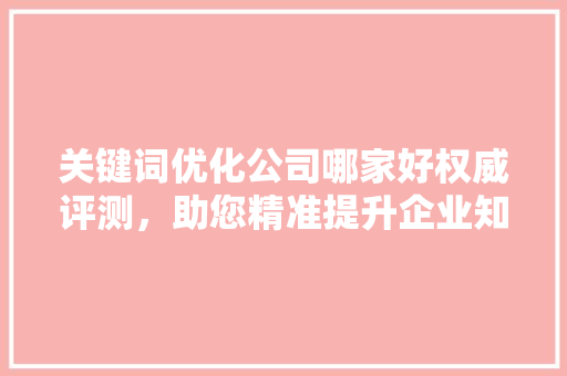 关键词优化公司哪家好权威评测，助您精准提升企业知名度