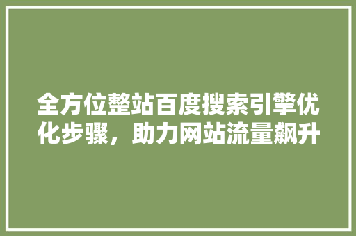 全方位整站百度搜索引擎优化步骤，助力网站流量飙升