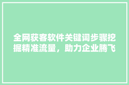全网获客软件关键词步骤挖掘精准流量，助力企业腾飞