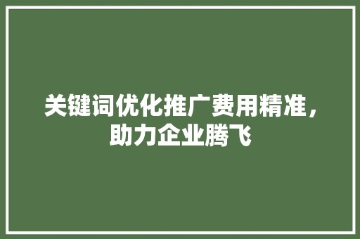 关键词优化推广费用精准，助力企业腾飞