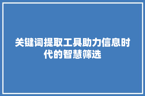 关键词提取工具助力信息时代的智慧筛选