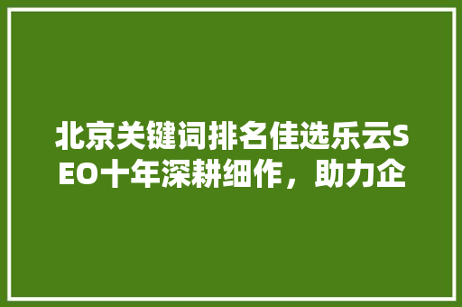 北京关键词排名佳选乐云SEO十年深耕细作，助力企业腾飞