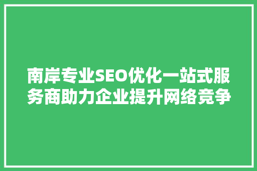 南岸专业SEO优化一站式服务商助力企业提升网络竞争力