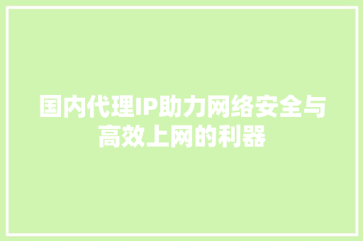 国内代理IP助力网络安全与高效上网的利器