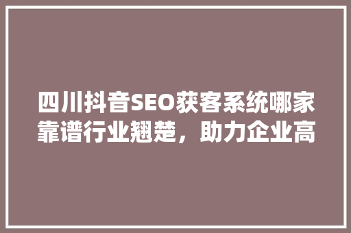 四川抖音SEO获客系统哪家靠谱行业翘楚，助力企业高效引流
