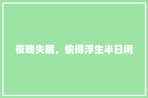 夜晚失眠，偷得浮生半日闲