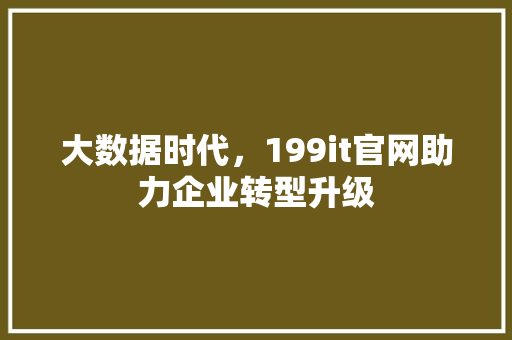 大数据时代，199it官网助力企业转型升级