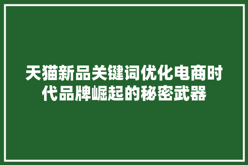 天猫新品关键词优化电商时代品牌崛起的秘密武器