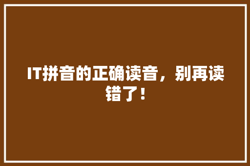IT拼音的正确读音，别再读错了！