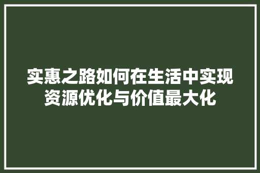 实惠之路如何在生活中实现资源优化与价值最大化
