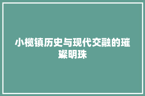 小榄镇历史与现代交融的璀璨明珠