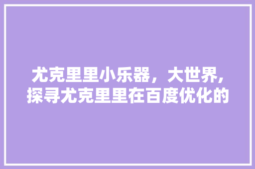 尤克里里小乐器，大世界,探寻尤克里里在百度优化的魅力