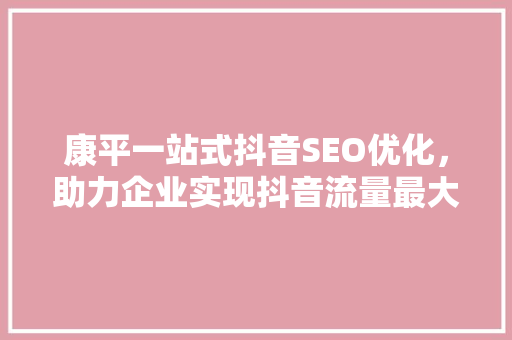 康平一站式抖音SEO优化，助力企业实现抖音流量最大化
