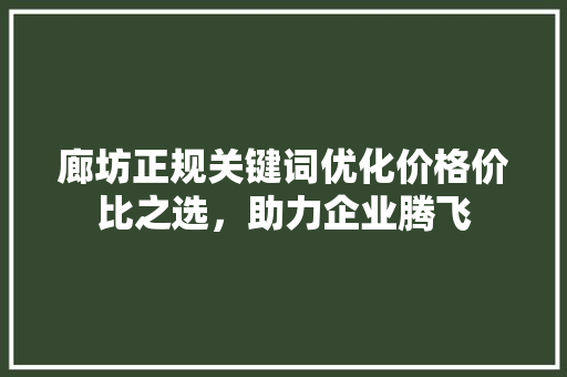 廊坊正规关键词优化价格价比之选，助力企业腾飞