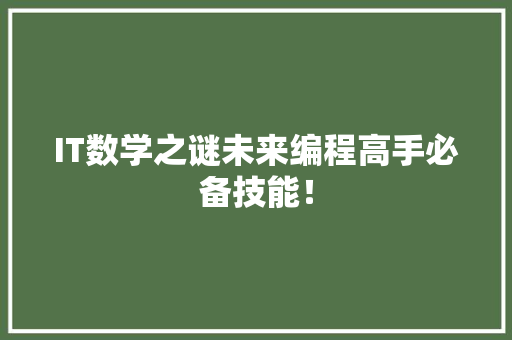 IT数学之谜未来编程高手必备技能！