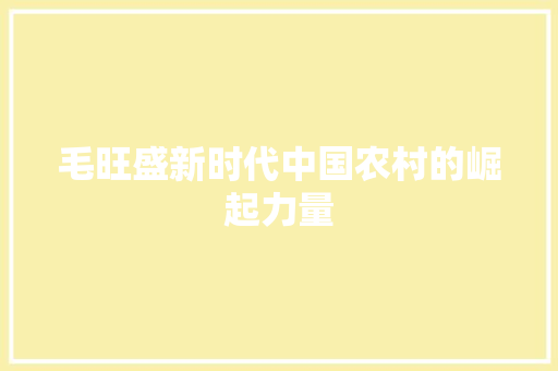 毛旺盛新时代中国农村的崛起力量