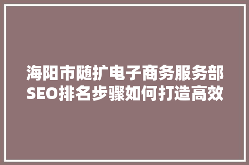 海阳市随扩电子商务服务部SEO排名步骤如何打造高效电子商务平台