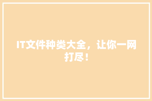 IT文件种类大全，让你一网打尽！