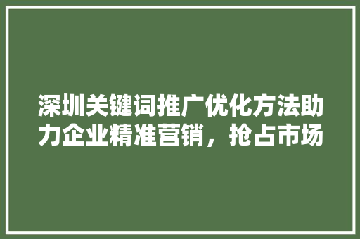 深圳关键词推广优化方法助力企业精准营销，抢占市场先机