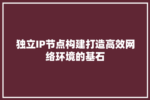 独立IP节点构建打造高效网络环境的基石
