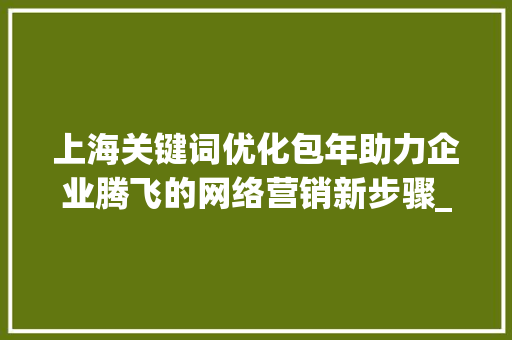 上海关键词优化包年助力企业腾飞的网络营销新步骤_上海关键词优化包年