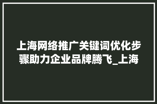 上海网络推广关键词优化步骤助力企业品牌腾飞_上海网络推广关键词优化