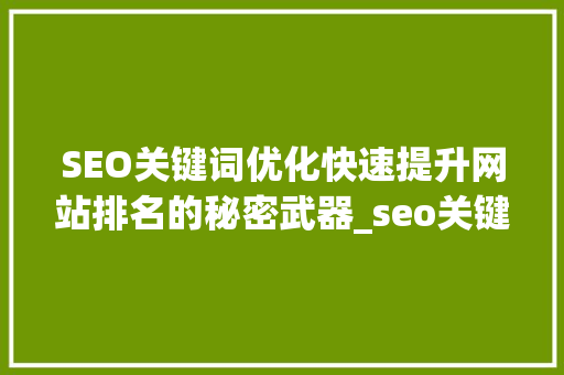 SEO关键词优化快速提升网站排名的秘密武器_seo关键词优化效果快