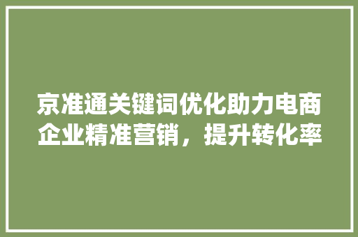 京准通关键词优化助力电商企业精准营销，提升转化率_京准通关键词优化