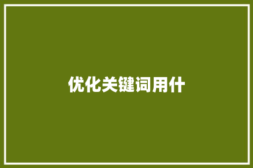优化关键词用什