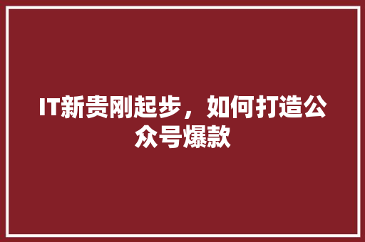 IT新贵刚起步，如何打造公众号爆款 项目报告