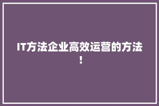 IT方法企业高效运营的方法！