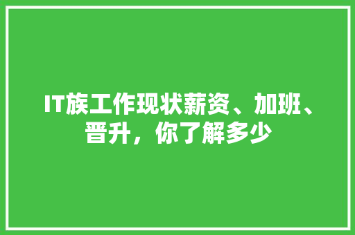 IT族工作现状薪资、加班、晋升，你了解多少
