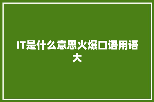 IT是什么意思火爆口语用语大