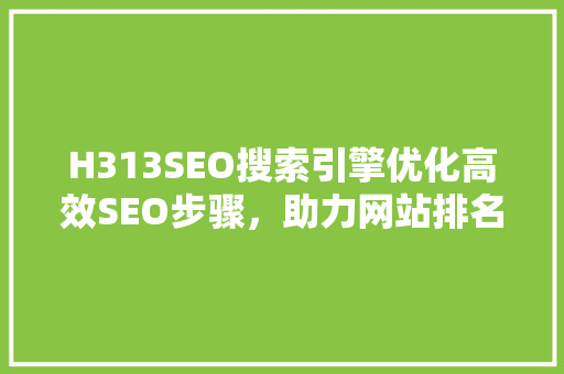 H313SEO搜索引擎优化高效SEO步骤，助力网站排名攀升