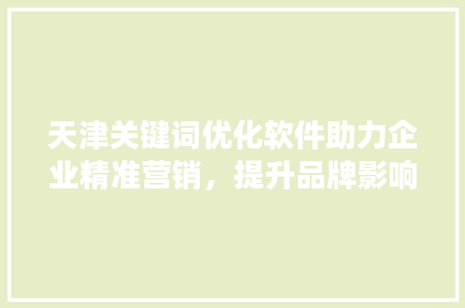 天津关键词优化软件助力企业精准营销，提升品牌影响力_天津关键词优化的软件