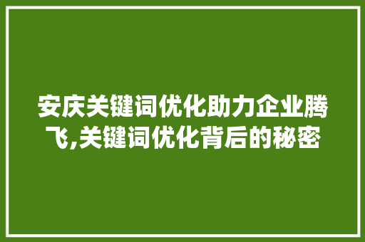 安庆关键词优化助力企业腾飞,关键词优化背后的秘密_安庆关键词优化推荐公司