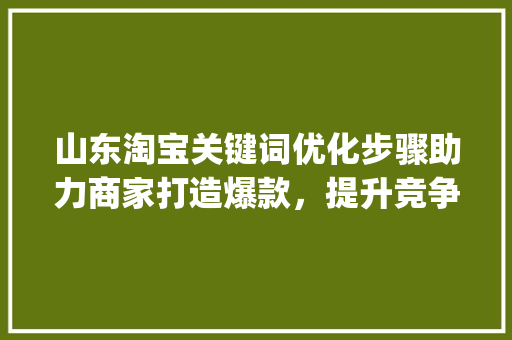 山东淘宝关键词优化步骤助力商家打造爆款，提升竞争力_山东淘宝关键词优化