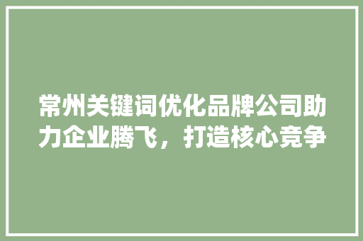 常州关键词优化品牌公司助力企业腾飞，打造核心竞争力_常州关键词优化品牌公司