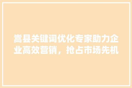 嵩县关键词优化专家助力企业高效营销，抢占市场先机_嵩县关键词优化哪家好