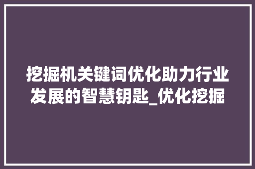 挖掘机关键词优化助力行业发展的智慧钥匙_优化挖掘机关键词