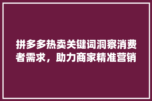 拼多多热卖关键词洞察消费者需求，助力商家精准营销_拼多多热卖关键词优化